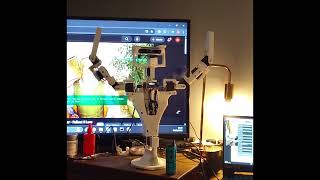 Nova Demonstration
