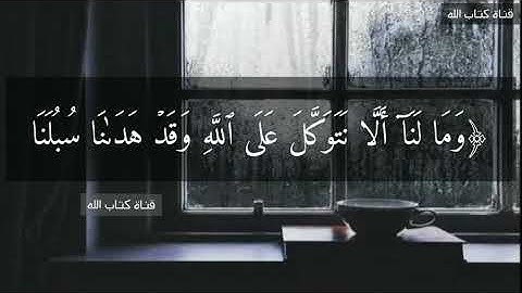 قران كريم || ارح قلبك وسمعك تلاوه خاشعه🤍 قناة كتاب الله