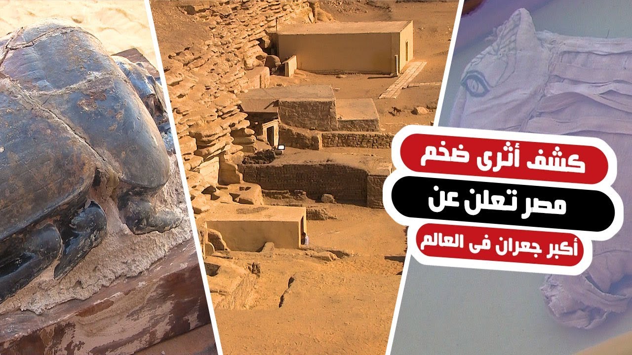 فى كشف أثرى ضخم.. مصر تعلن عن أكبر جعران فى العالم