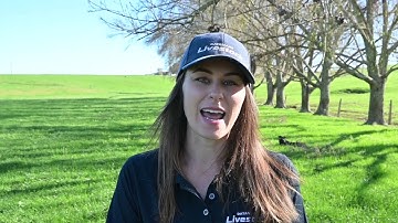 Fence Monitoring - Using the Datamars Livestock app