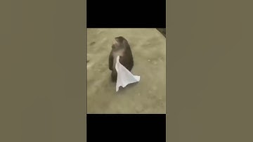 Memes I found in my basement PART 3