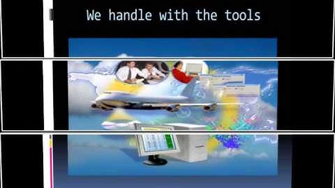 Dolphin Social Networking Development Company and its Services