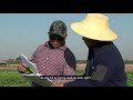 Complying with Pesticide Laws and Regulations in California (Video in Hmong)