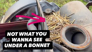  TIME FOR SOME ANTIFREEZE & BOILER MAINTENANCE DAY #AnswerAsAPercent 2071