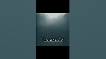 تلاوة مميزة وفي غاية الجمال للقارئ : عبدالله الموسى