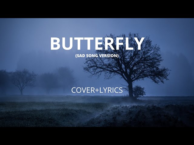 Butterfly - melly goeslaw (sad version) class=