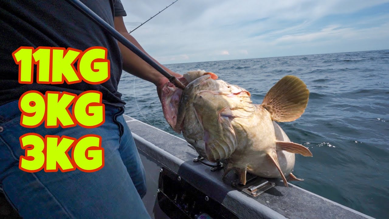 3 Ekor Boron ditewaskan | Slow Jigging Tanjung Karang