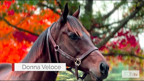 Bellafina and Donna Veloce: A Brilliant Duo Sellin...