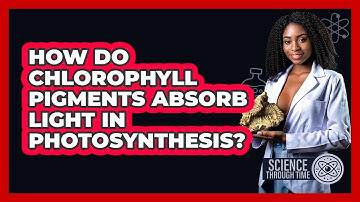 How Do Chlorophyll Pigments Absorb Light In Photosynthesis? - Science Through Time