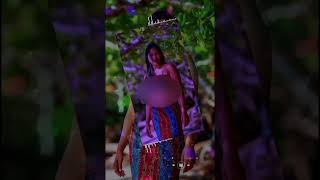 Anita island Version 2026 