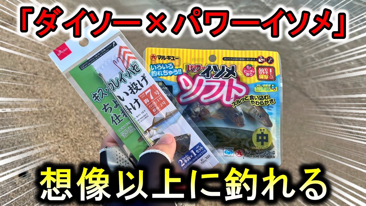 漁港で「ダイソー×パワーイソメ」仕掛けを使うとアタリが出続けて大人気でした。