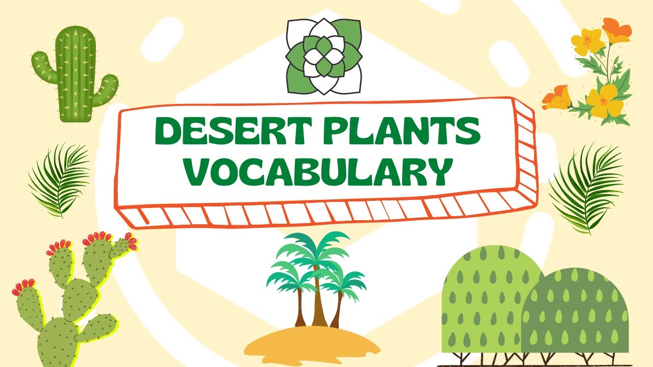 DESERT PLANTS VOCABULARY Names of Desert Plants Improve