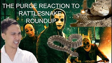 episode 1 the purge reaction rattlesnake roundup texas