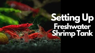 How To Setup A Freshwater Shrimp Tank 🦐