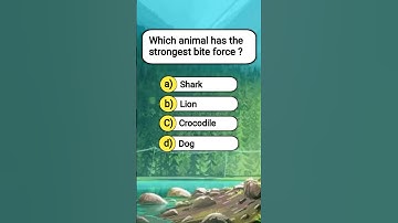 Test your general knowledge #quiz #generalknowledge #gkquiz #gk #trivia #generalknowledgequiz