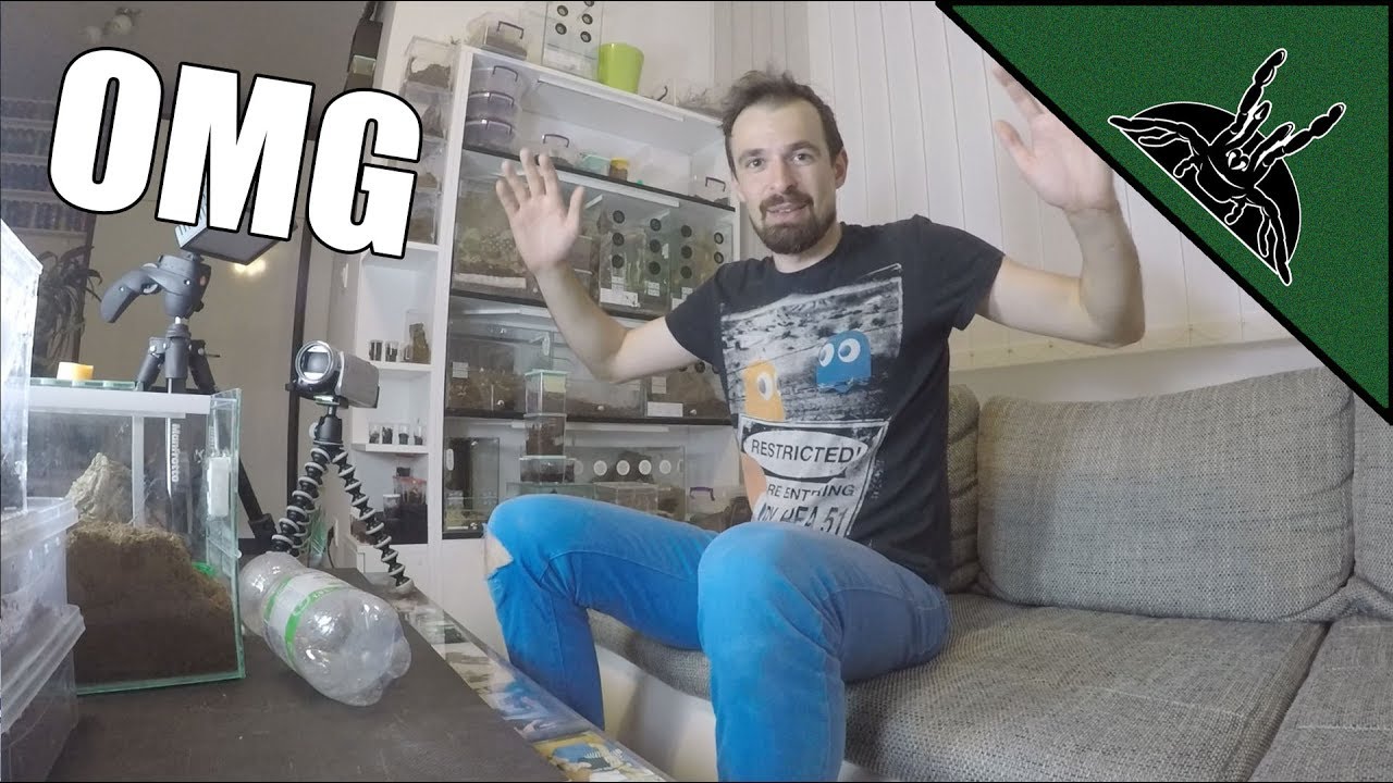 sheet bend I can't believe what I found!