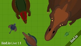 iiod.io NEW beta evolution io game | Three years in the making! | iiod.io Live I