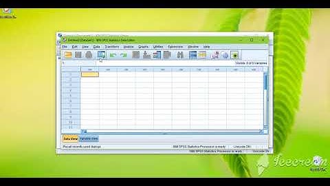 how to find the mean, median, mode and standard deviation in SPSS