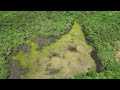 AcopDrones Propriedade dona Margarida Morais DJI 0091