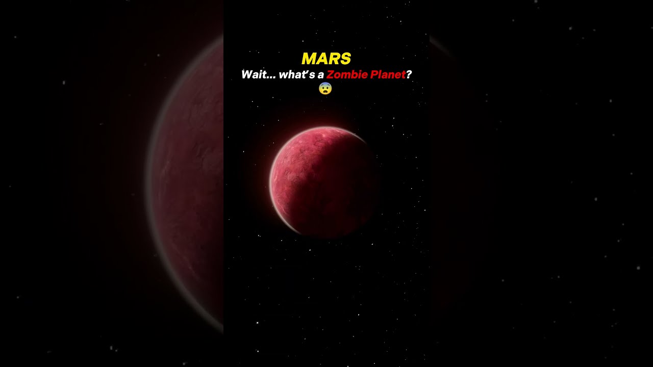 Planets Vs Blanets Zombie Space Earth Sun