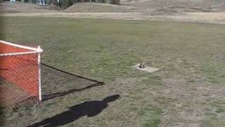 trex 250 3D Kennedy.wmv