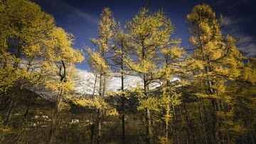 تلاوة جميلة من سورة غافر