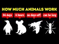What Animals Work Harder Than Us