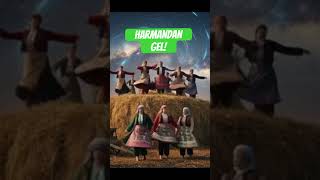 Harmandan Gel Harmandan Rework