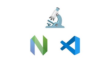 Search Offsets — Neovim & VsCode