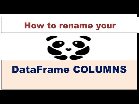 How to rename or change your Data Frame column name - YouTube