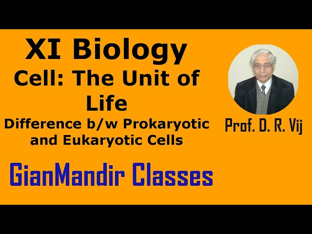 XI Biology | Cell The Unit of Life |Difference b/w Prokaryotic and Eukaryotic Cells by Taranjeet Sir