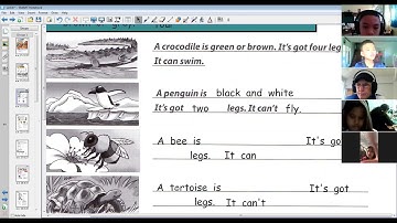 Unit 8, Lesson 2, Incredible English 4 (Zoom 4/10 with T. Cam)