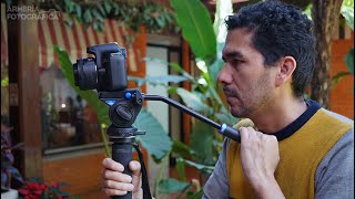 Monopod de aluminio Benro S4