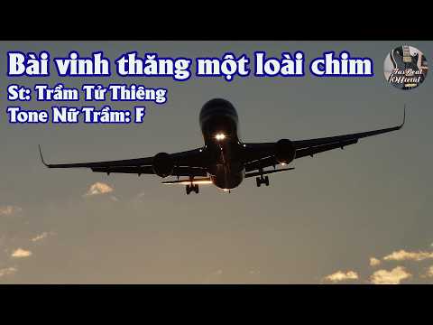 Karaoke Bài Vinh Thăng Một Loài Chim Tone Nữ Trầm | TAS BEAT