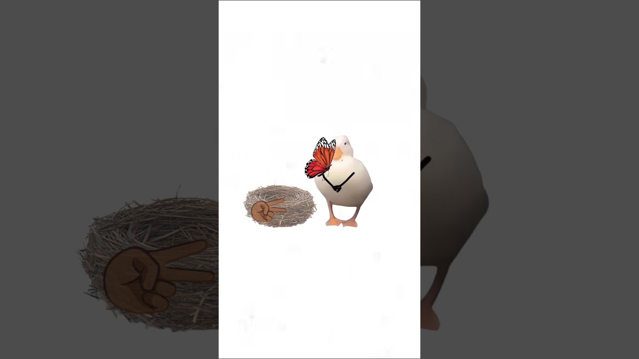 ADHD EXPLAINED BY A DUCK