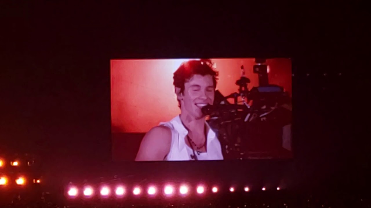 Shawn Mendes & Camila Cabello - Senorita