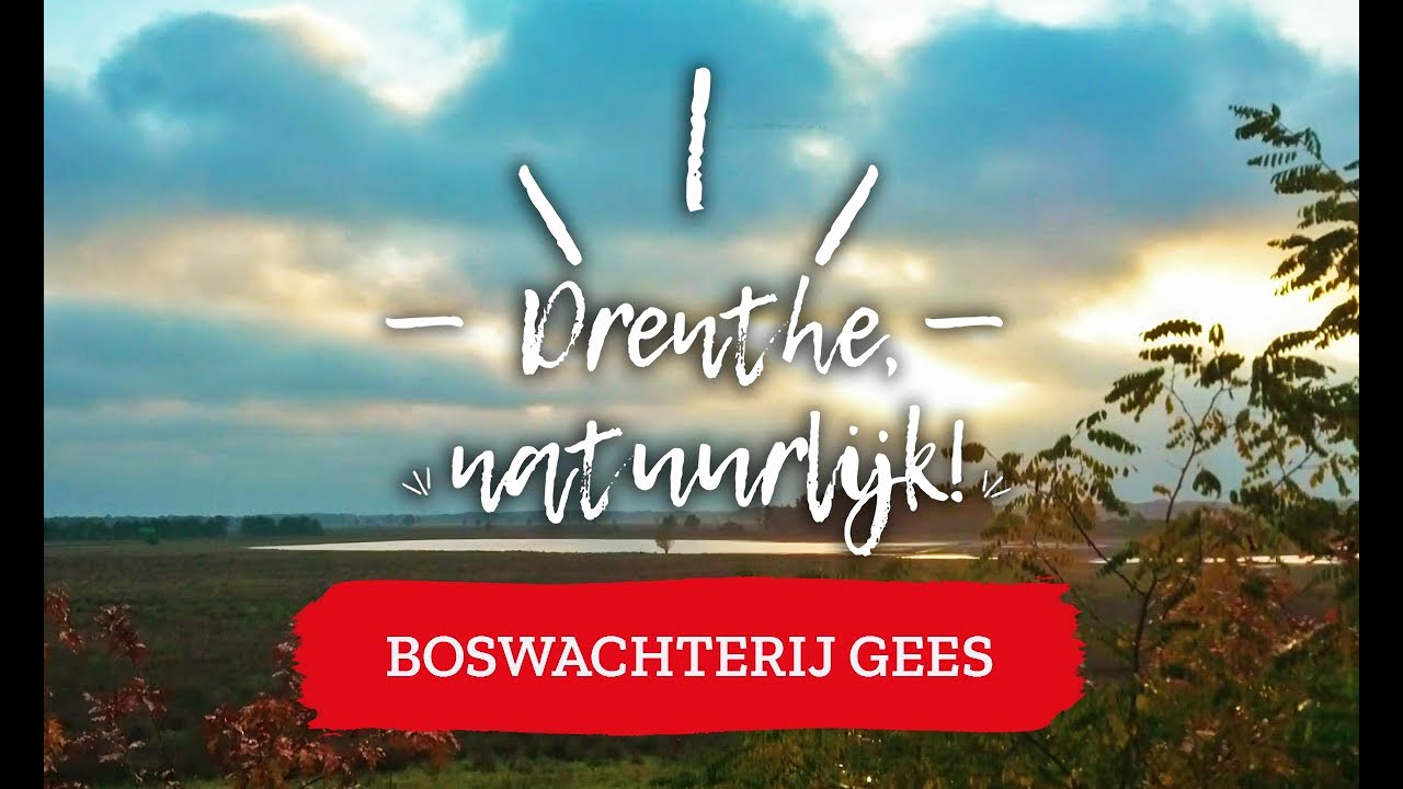 Boswachterij Gees | Drenthe, natuurlijk!