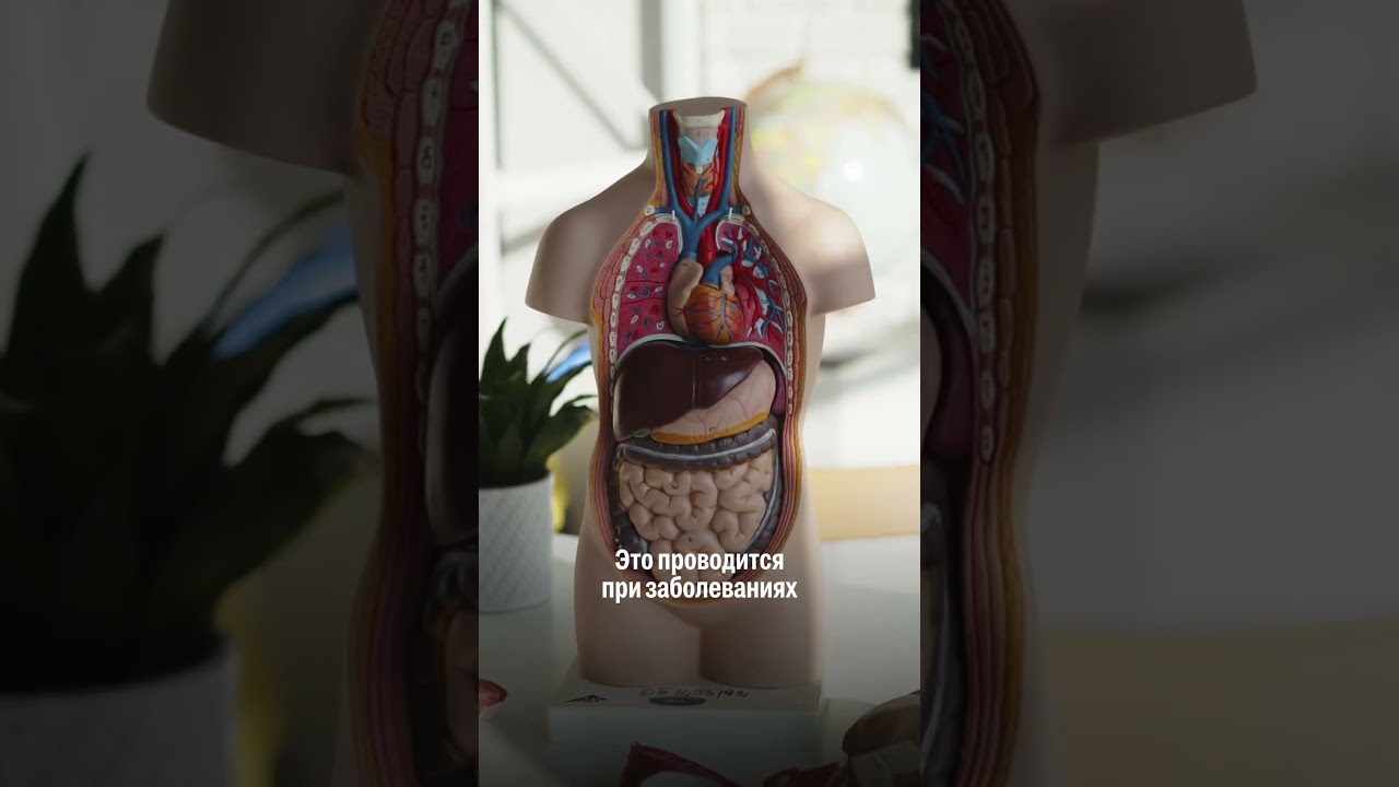 Урофлоуметрия: что это?