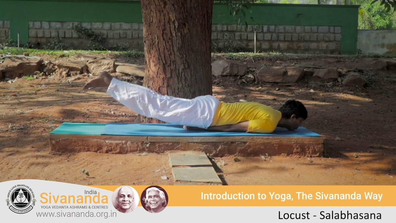 Salabhasana (Locust) | Sivananda Yoga