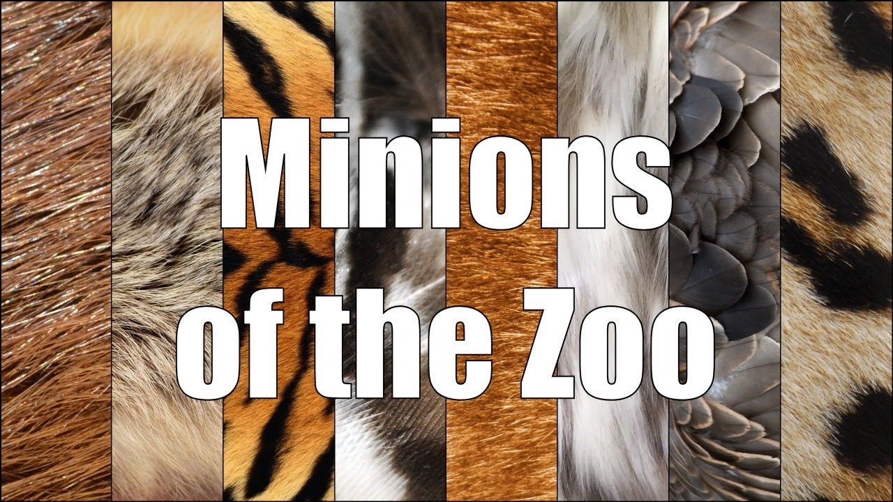 MotZ 1217: Practical Fusion Power and the Affordable Housing Problem