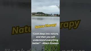 Why Does Nature Make Us Feel Better?