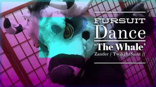 Fursuit Dance / Zander / ‘The Whale’ // 