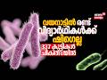 വയനാട്ടിൽ രണ്ട് വിദ്യാർഥികൾക്ക് ഷിഗെല്ല; ഉന്നതതല യോഗം ഇന്ന് | Shigella Infection Alert In Kerala