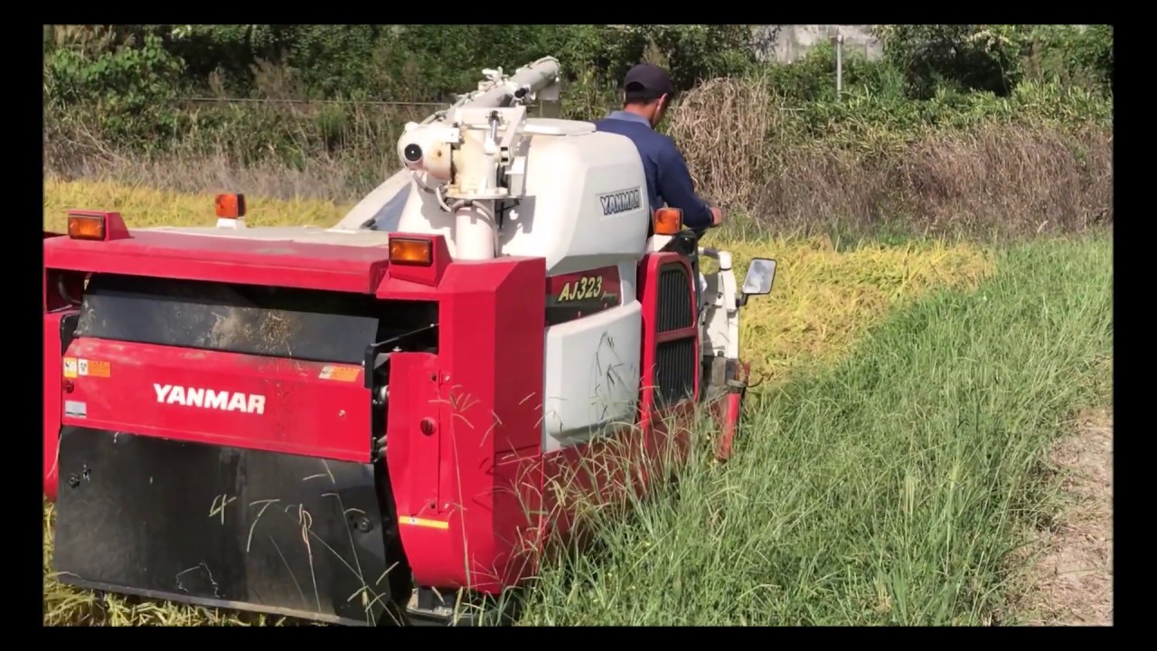 宮崎　ヤンマー　1条刈り バインダー　3馬力 刈幅約300mm 稲刈り 動画あり 宮崎 ヤンマー 1条刈り バインダー 3馬力 刈幅約300mm 稲刈り 動画あり