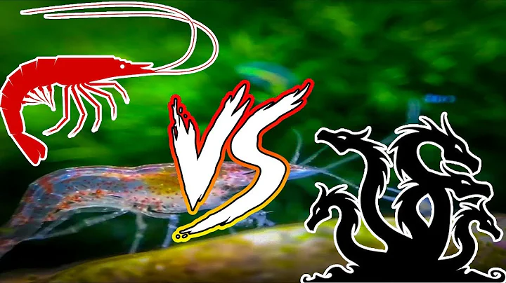 6 HEADED AQUARIUM PEST! - HYDRA!