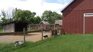Brooklyn Park Votes to Establish Plan for Eidem Farm