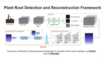 3D Modeling Beneath Ground: Plant Root Detection and Reconstruction Based on Ground-Penetrating Rad