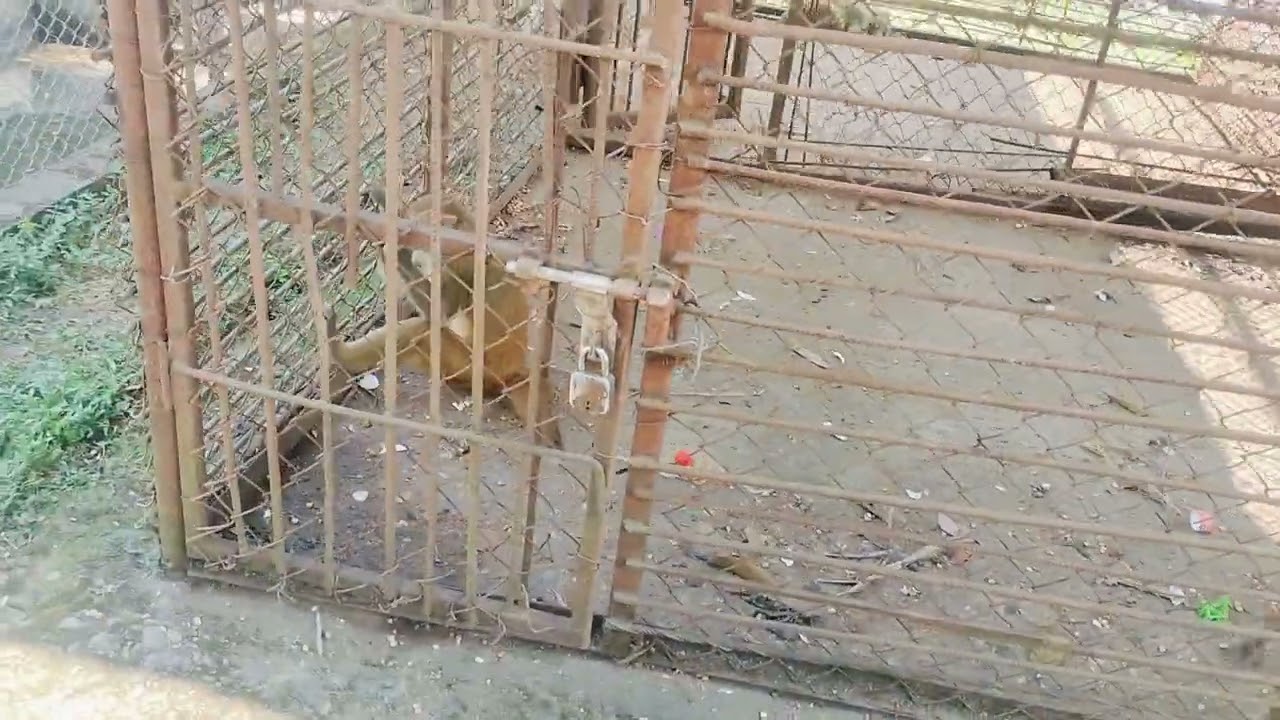 Nepal Shahid smarak park hathoda