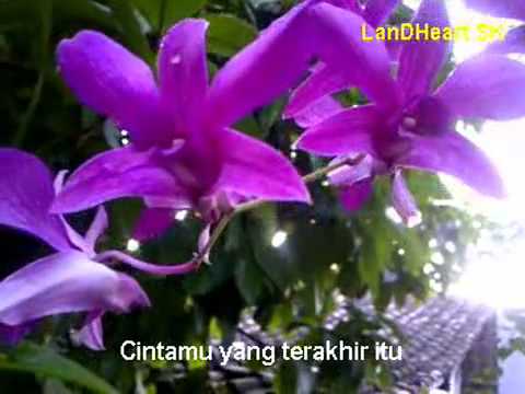 Cinta Yang Terakhir - Tetty Kadi