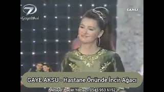 Gaye Aksu - Hastane Önünde İncir Ağacı